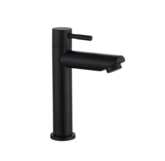 Río media, grifería de baño de agua fría, en negro
